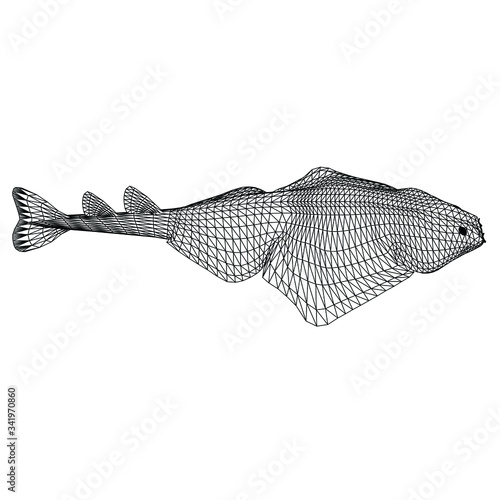 angel shark polygonal lines illustration. Abstract vector angel shark on the white background
