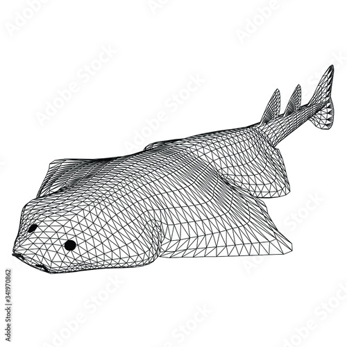 angel shark polygonal lines illustration. Abstract vector angel shark on the white background