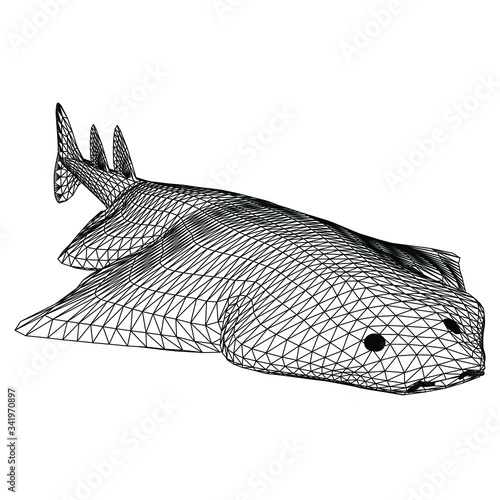 angel shark polygonal lines illustration. Abstract vector angel shark on the white background