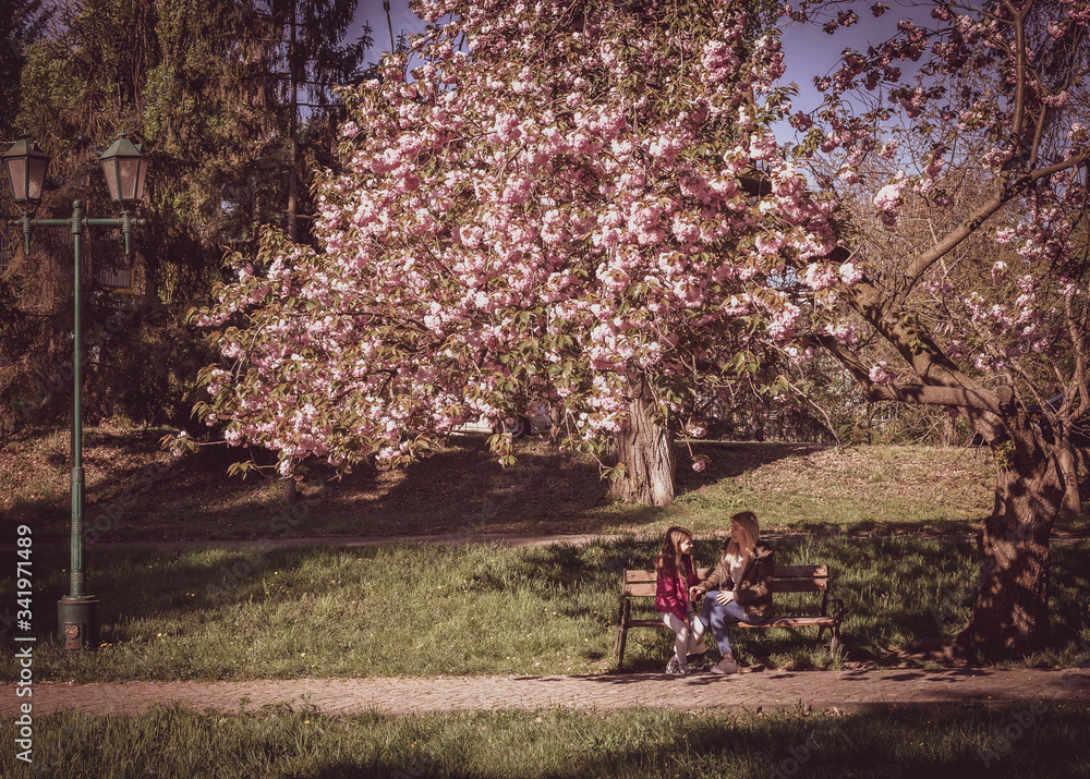 Sakura blossomed. Young mother with her child have fun in the park near the sakura. Spring morning. They look at each other Sakura blossomed. Young mother with her child have fun in the park near the sakura. Spring morning. They look at each other