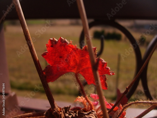 <Digimax S500 / Kenox S500 / Digimax Cyber 530>