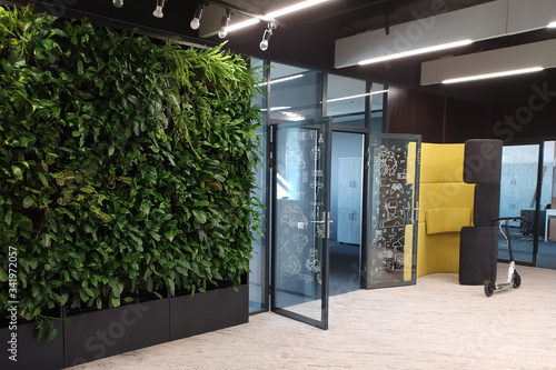 vertical landscape design in a modern office. green walls from plants