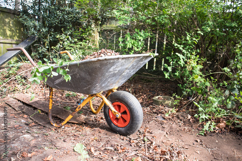 Wheel barrow in a garden piled full with foliage and greenery ready to be moved.