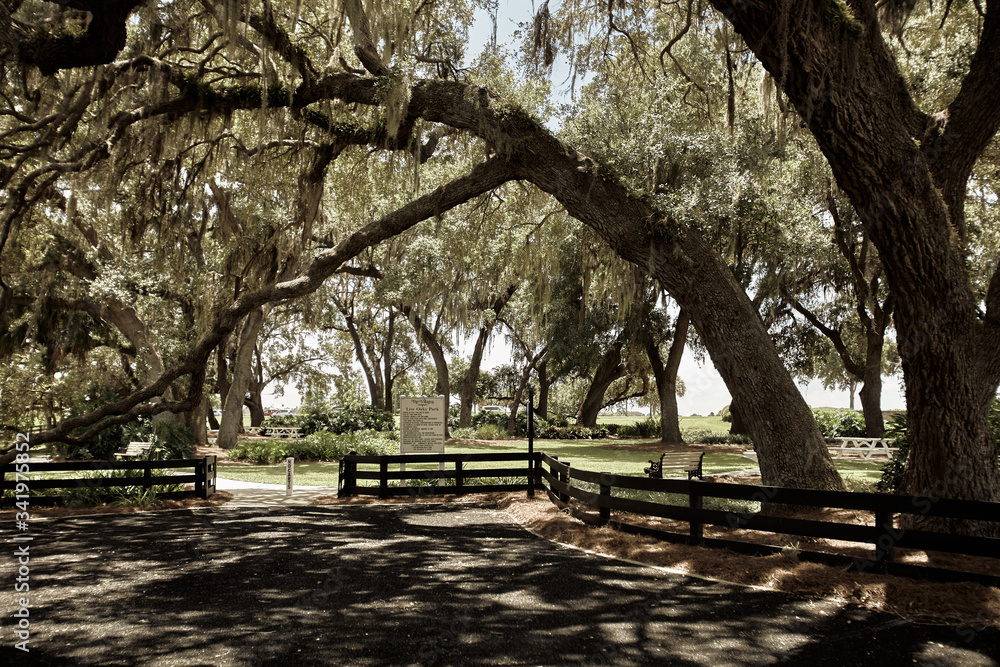 park in the park