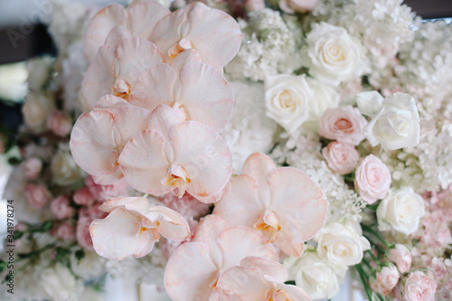 Wedding arch decorated with white flowers and flower compositions of pink and white flowers. Hydrangea.