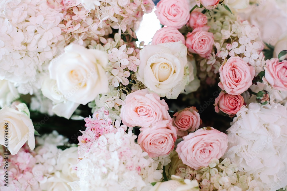 Wedding arch decorated with white flowers and flower compositions of pink and white flowers. Hydrangea. Wedding arch decorated with white flowers and flower compositions of pink and white flowers. Hydrangea.