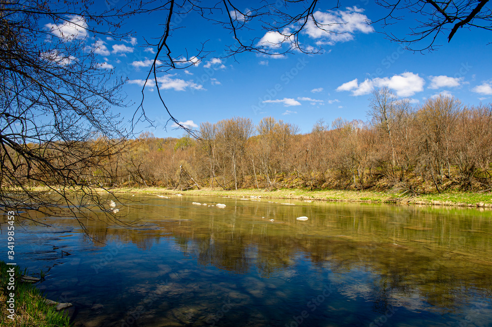 Fototapeta premium Bieszczady przyroda krajobraz