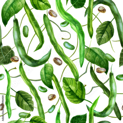 Watercolor illustration, pattern. Bean pods, beans, bean leaves on a white background.
