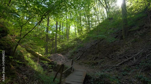 Seltenbachschlucht in Klingenberg photo