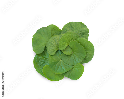 Centella asiatica, Asiatic Pennywort leave isolated on white background. This has clipping path.