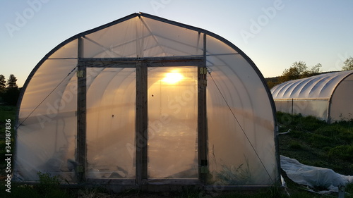 morning sun shinning threw greenhouse on a farm
