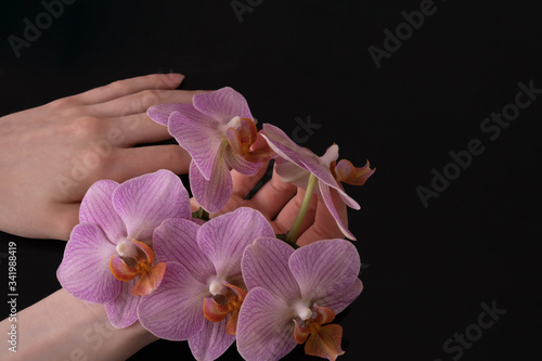 young female hands holding petals of pink orchids