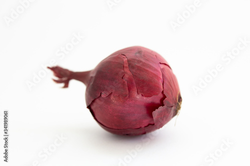blue onion on a white background