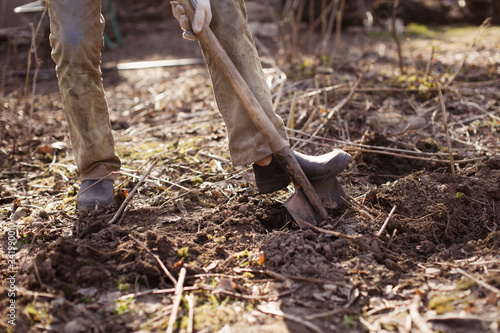 Caucasian man with shovel digs ground in garden