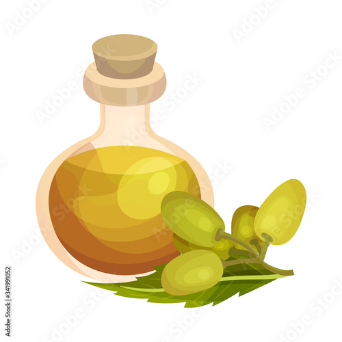 Essential Oil of Neem Plant Poured in Corked Glass Bottle with Leaf and Fruit Rested Nearby Vector Illustration
