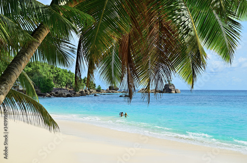 Tropical beach, Seychelles, Mahe