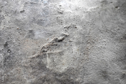 stone wall texture