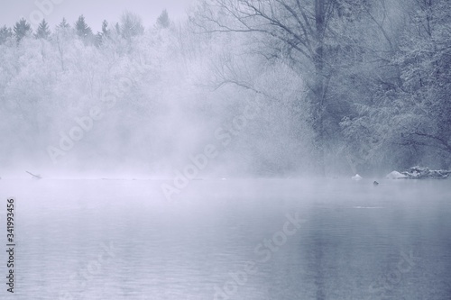 Frozen fog on the trees over the water