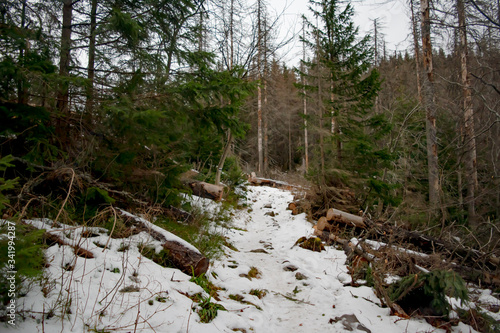 Winter hiking trail on the tatra mountains in winter close to Zakopane, Poland