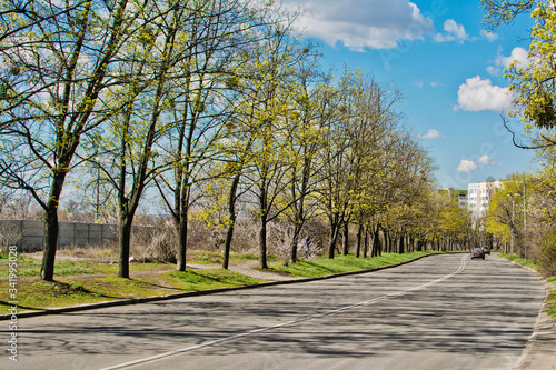 Cars drive along the road between trees on a sunny day, beautiful view of the blue cloudy sky in early spring
