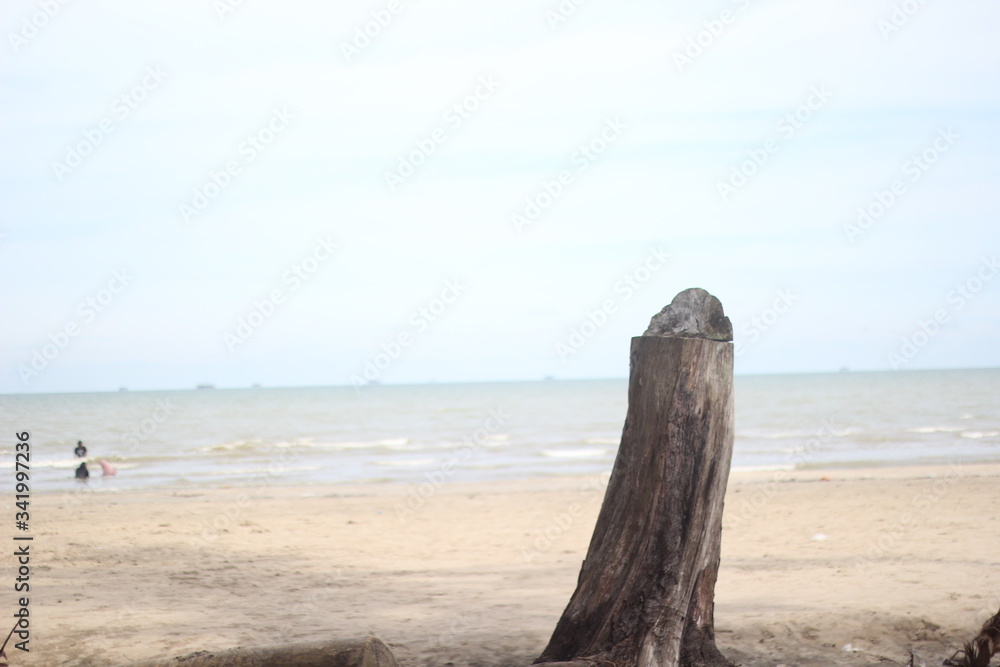 beach and sea