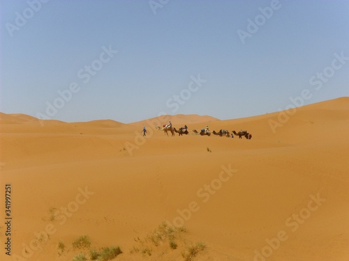 desert wasteland sand dune sahara © Vra