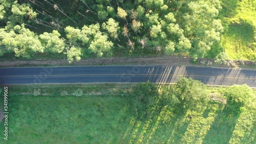 Wallpaper Mural Rural road scene. Countryside view. Field landscape in a summer day. Rural road scene. Countryside view. Field landscape in a summer day.Rural road scene. Countryside view. Field view in a summer day. Torontodigital.ca