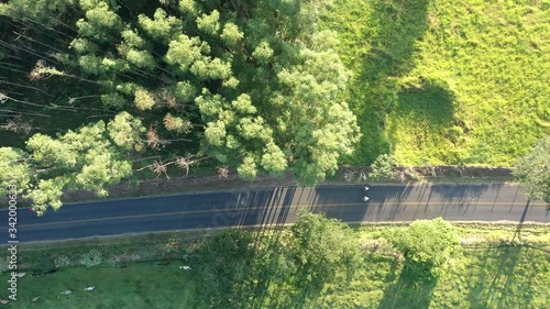 Wallpaper Mural Rural road scene. Countryside view. Field landscape in a summer day. Rural road scene. Countryside view. Field landscape in a summer day.Rural road scene. Countryside view. Field view in a summer day. Torontodigital.ca