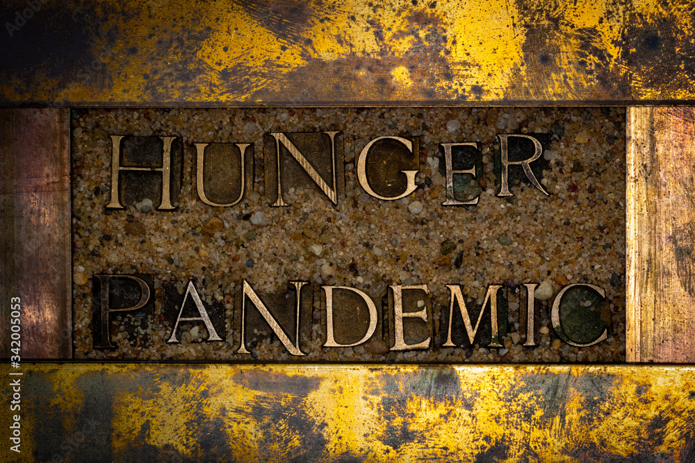 Photo of real authentic typeset letters forming Hunger Pandemic text on vintage textured grunge copper and gold background