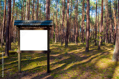 Blank white information board in the forest. Sunny autumn day