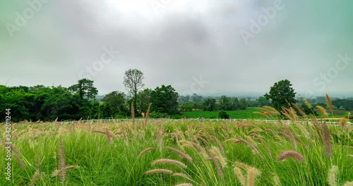 Time lapse Landscape with green meadow, hill with flowers, blue cloudy sky with mist.