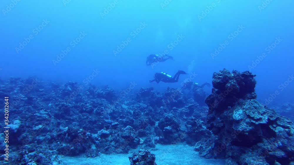 Scuba divers exploring. Deep dive. 4k. Scuba divers exploring. Deep dive. 4k.