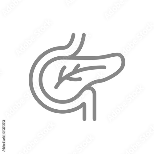 Human pancreas line icon. Healthy internal organ symbol