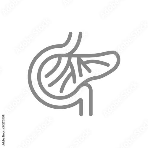 Blood vessels of pancreas line icon. Pancreas blood supply, innervation symbol