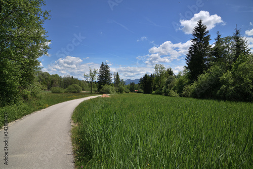 Straße im Bayerischen Alpenvorland 