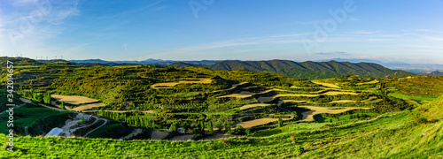 Blick über Weinberge in Navarra