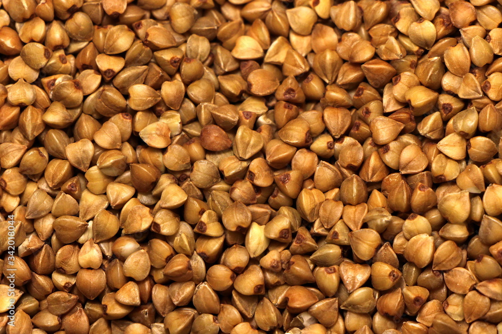 buckwheat buckwheat