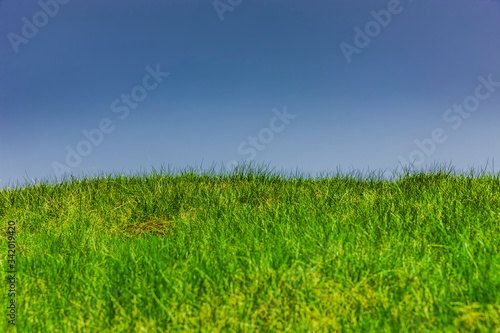 Grüne WIese vor Blauem Himmel