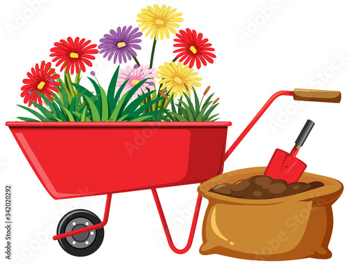 Colorful flowers and bag of soil on white background