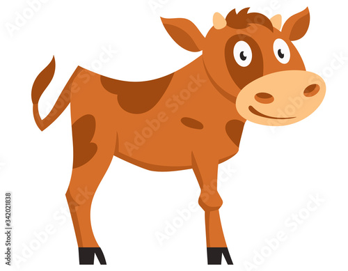 Standing cute calf. Farm animal in cartoon style.