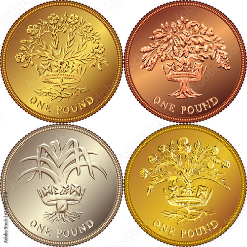 set British money gold coin one pound sterling representing: Thistle and royal diadem - Scotland, Leek and royal diadem - Wales, Flax Plant and royal diadem, Oak Tree - Northern Ireland