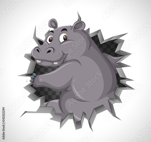 Cute hippo coming out of cracked wall