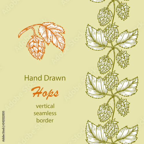 Hand drawn engraving style Hops icon and vertical Seamless border. Common hop or Humulus lupulus branch with leaves and cones. Green Vector Floral card
