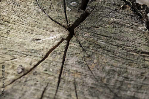 Korean wooden surface