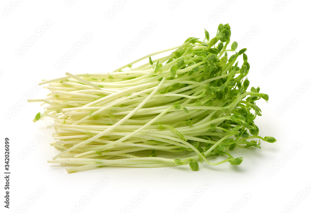 Bunch of snow pea microgreen on white background Bunch of snow pea microgreen on white background