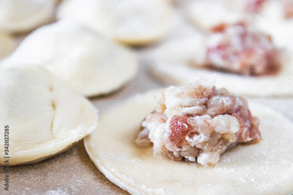The process of making homemade dumplings. Minced meat on the dough, the process of making homemade dumplings. The process of making homemade dumplings. Minced meat on the dough, the process of making homemade dumplings.