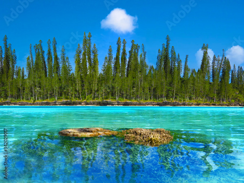 Natural swimming pool in New Caledonia with the typical famous pines in the archipelago. 