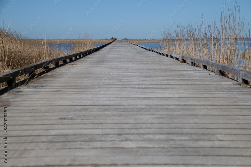 The Ringkøbing Fjord inlet in Denmark