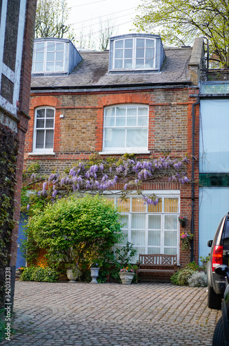 Beautiful colored mews in London