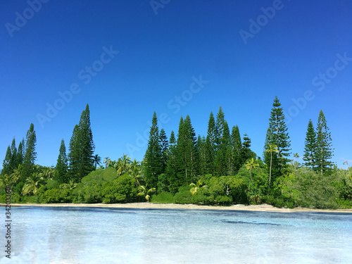 Natural swimming pool in New Caledonia with the typical famous pines in the archipelago.  © Maurizio Caputo